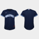 Youth Chicago Cubs Navy 2021 MLB City Connect Replica Jersey